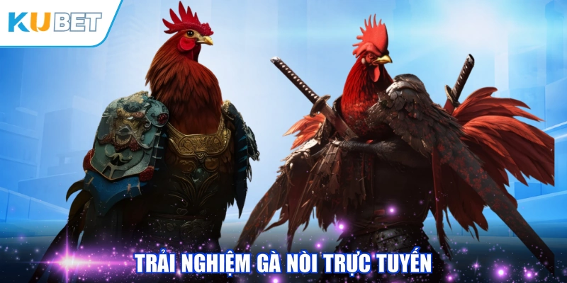 Trải nghiệm gà nòi trực tuyến