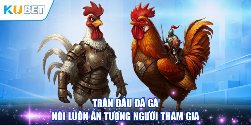 Trận đấu đá gà nòi luôn ấn tượng người tham gia